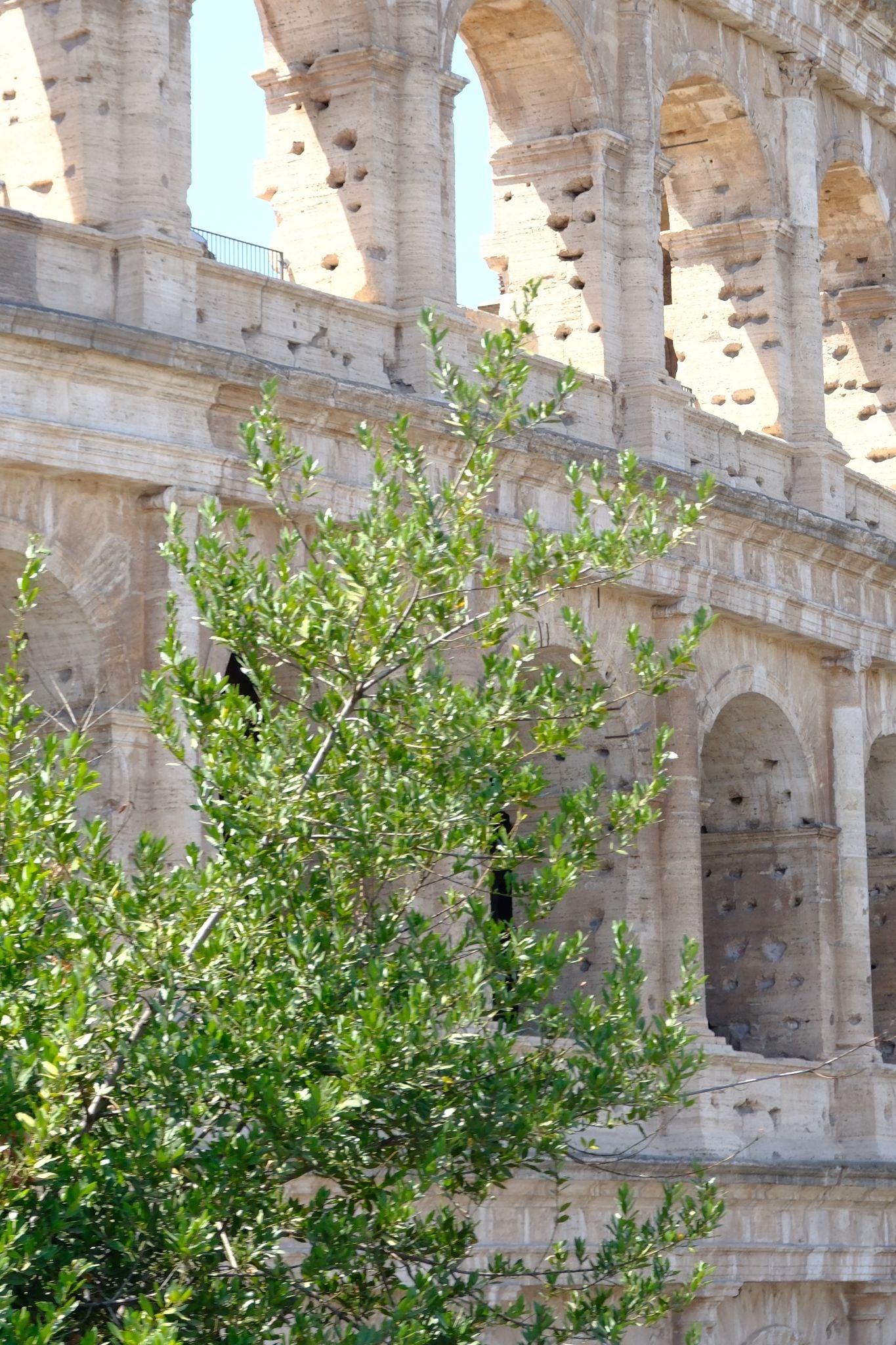 The Colosseum